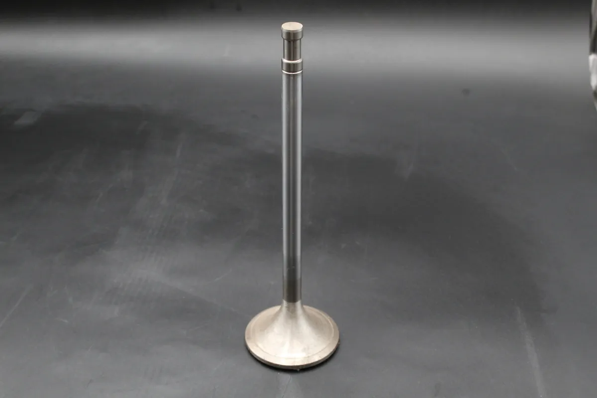 BERGEN  Spindle Exh. Valve Nimonic