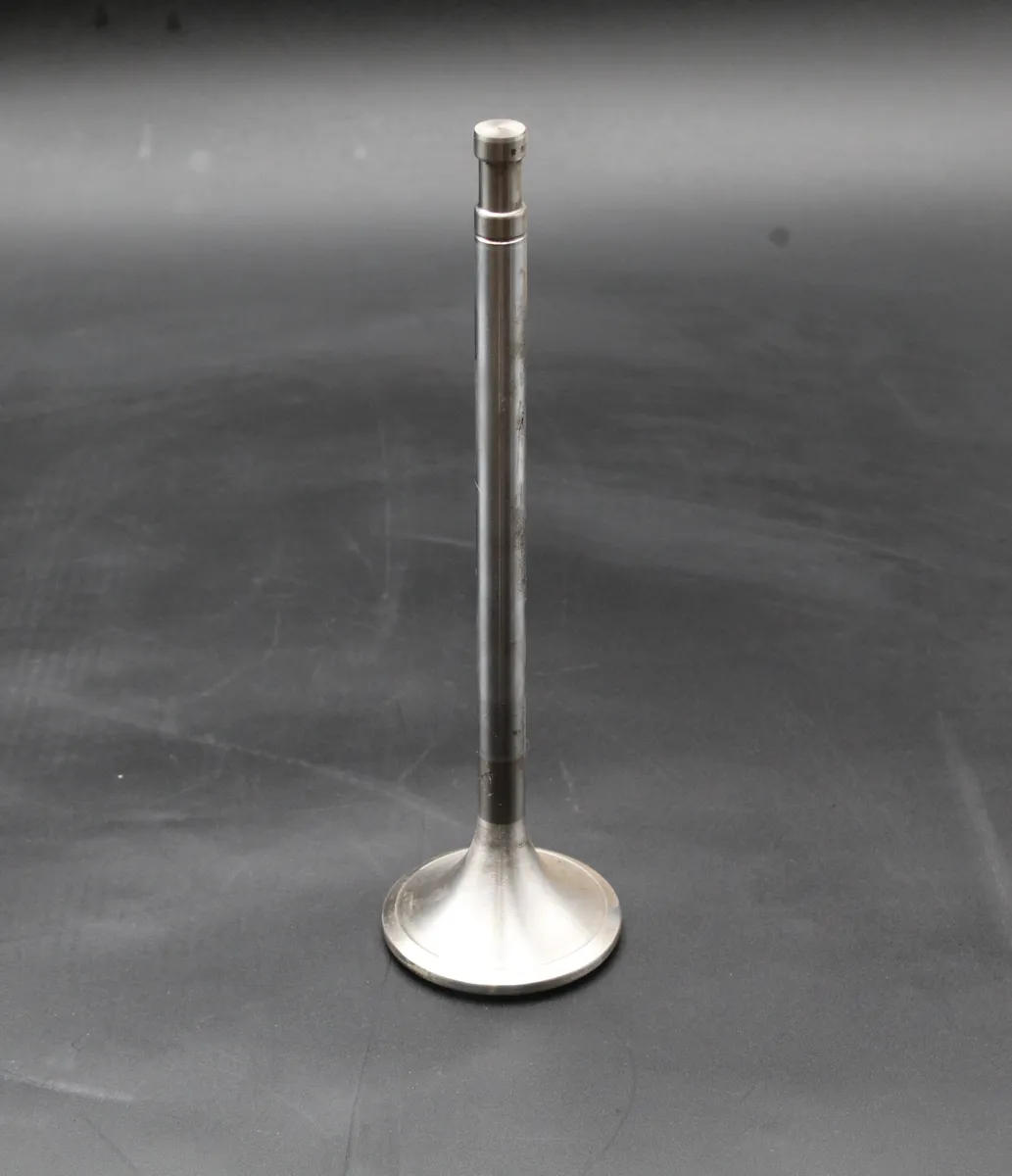 BERGEN K25:30 Inlet Valve K